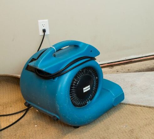 A blue vacuum is on the floor near a wall.